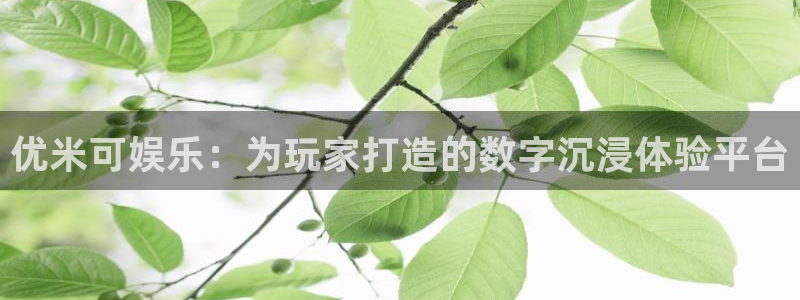 美狮贵宾会会员登录：优米可娱乐：为玩家打造的数字沉浸体验平台