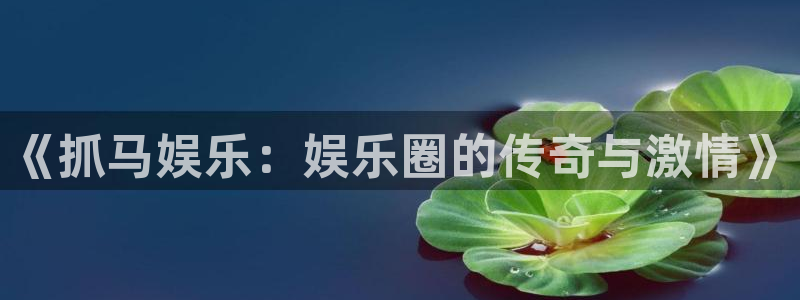 美狮贵宾会ms092：《抓马娱乐：娱乐圈的传奇与激情》