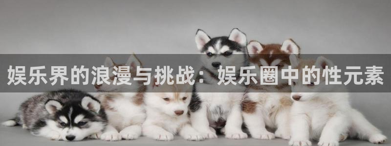 美狮贵宾会线路检测：娱乐界的浪漫与挑战：娱乐圈中的性元素