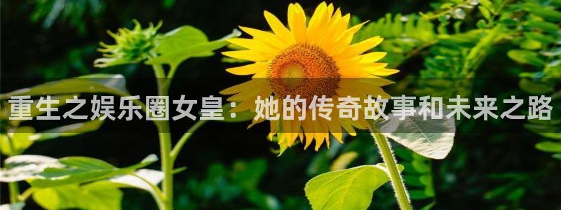 美狮贵宾会ms092：重生之娱乐圈女皇：她的传奇故事和未来之路