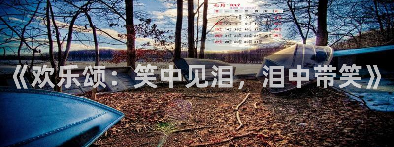 美狮贵宾会0923344：《欢乐颂：笑中见泪，泪中带笑》
