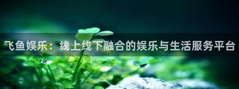 美狮贵宾会官网：飞鱼娱乐：线上线下融合的娱乐与生活服务平台