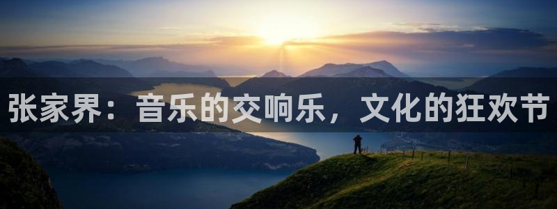 美狮贵宾会