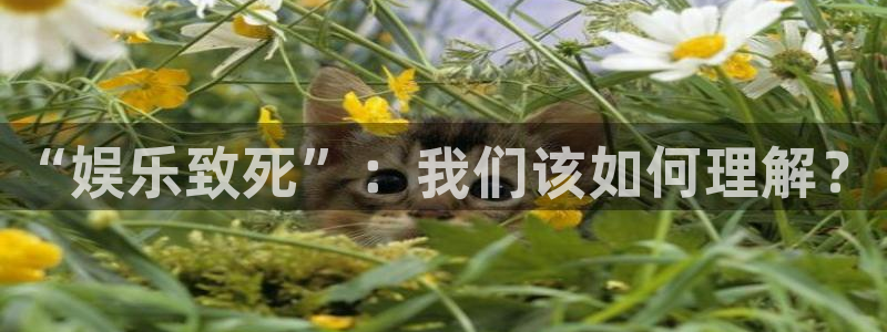 美狮贵宾会官网登录