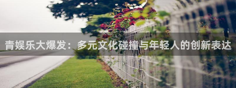 美狮贵宾会官网登录：青娱乐大爆发：多元文化碰撞与年轻人的创新表达