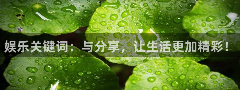 美狮贵宾会官网：娱乐关键词：与分享，让生活更加精彩！