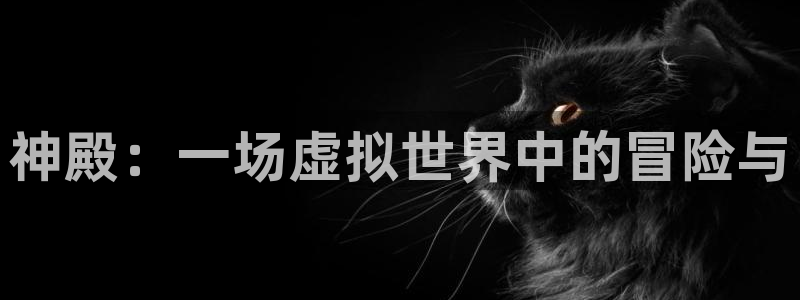 美狮贵宾会线路检测：神殿：一场虚拟世界中的冒险与