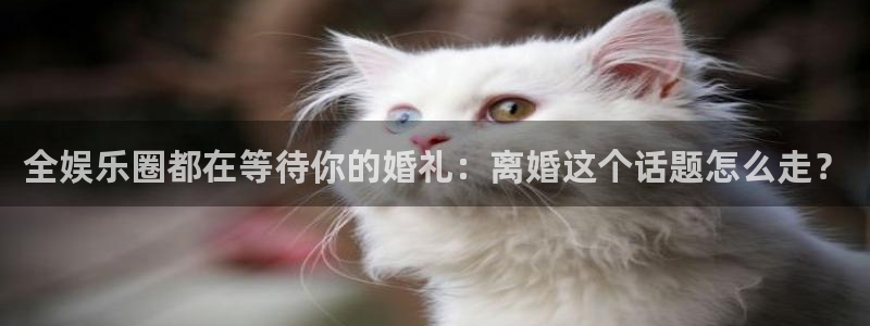 美狮贵宾会0923344：全娱乐圈都在等待你的婚礼：离婚这个话题怎么走？