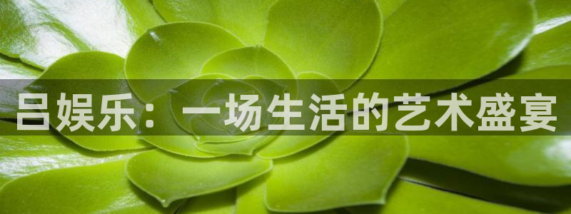 美狮贵宾会0923344：吕娱乐：一场生活的艺术盛宴